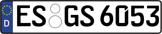 ES-GS6053
