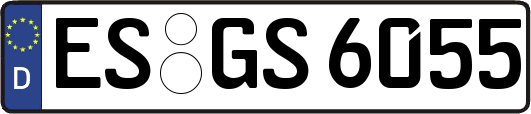 ES-GS6055