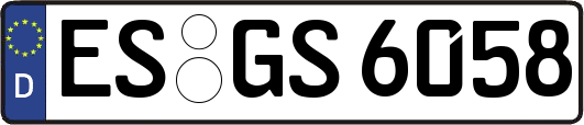 ES-GS6058