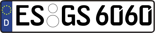 ES-GS6060