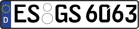 ES-GS6063