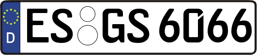 ES-GS6066