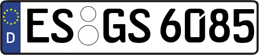 ES-GS6085