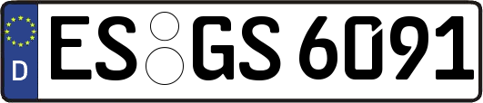 ES-GS6091