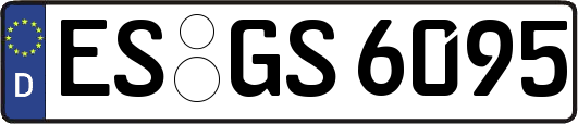 ES-GS6095