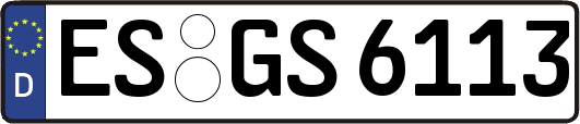 ES-GS6113