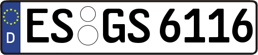 ES-GS6116
