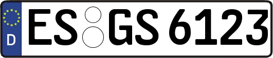ES-GS6123