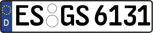 ES-GS6131