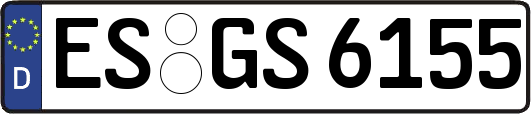 ES-GS6155