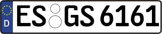 ES-GS6161