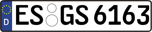 ES-GS6163