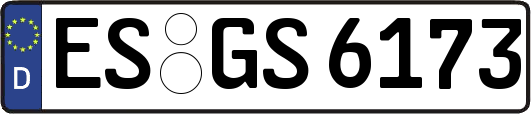 ES-GS6173
