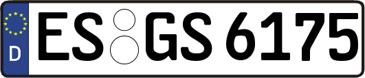 ES-GS6175