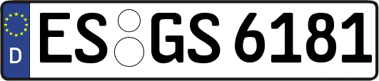 ES-GS6181