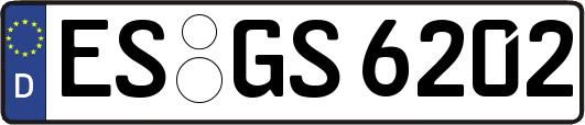 ES-GS6202