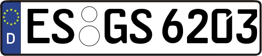 ES-GS6203