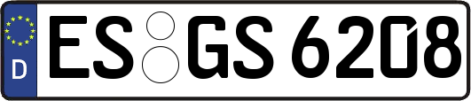 ES-GS6208