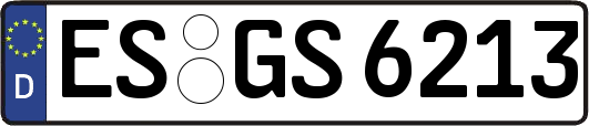 ES-GS6213