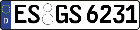 ES-GS6231