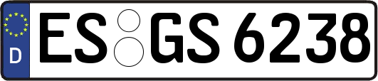 ES-GS6238
