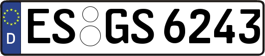 ES-GS6243