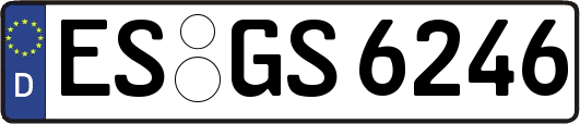 ES-GS6246
