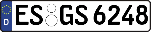 ES-GS6248