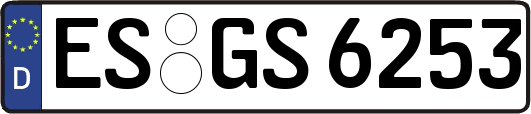 ES-GS6253