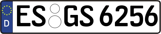 ES-GS6256