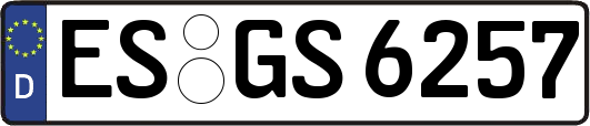 ES-GS6257