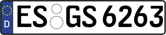 ES-GS6263