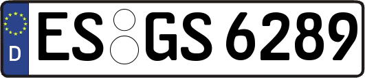 ES-GS6289