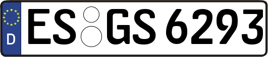 ES-GS6293