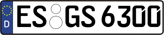 ES-GS6300