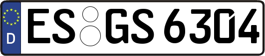 ES-GS6304