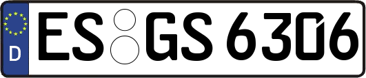 ES-GS6306