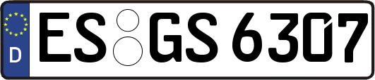 ES-GS6307