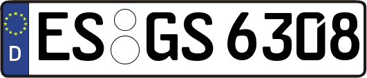 ES-GS6308
