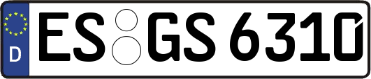 ES-GS6310