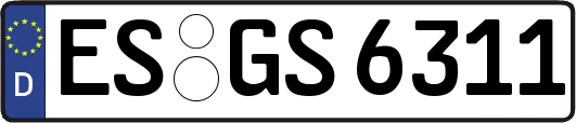 ES-GS6311