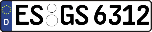 ES-GS6312