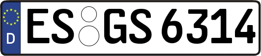 ES-GS6314