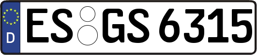 ES-GS6315