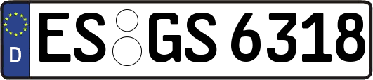 ES-GS6318
