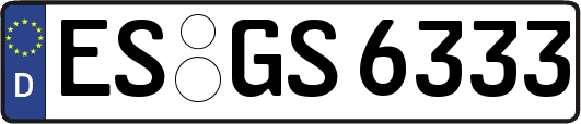 ES-GS6333