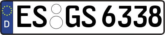 ES-GS6338