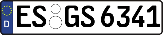 ES-GS6341