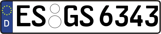 ES-GS6343