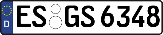 ES-GS6348